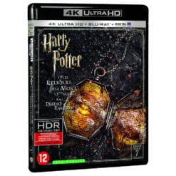 Harry Potter et les Reliques de la Mort 1ère partie (7) 4k