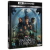 Black Panther: Wakanda Forever 4k