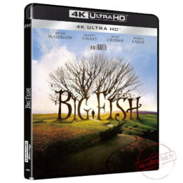 Big Fish 4k