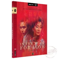 In the Mood for Love 4k