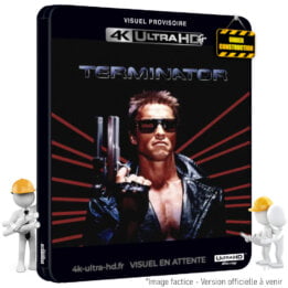 Terminator 4K