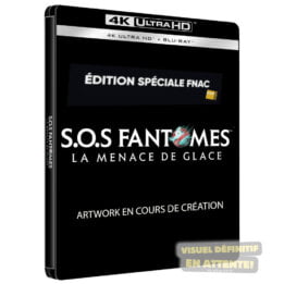 SOS Fantômes La Menace de glace Fnac Steelbook 4K