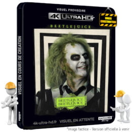 Beetlejuice Beetlejuice Steelbook 4k