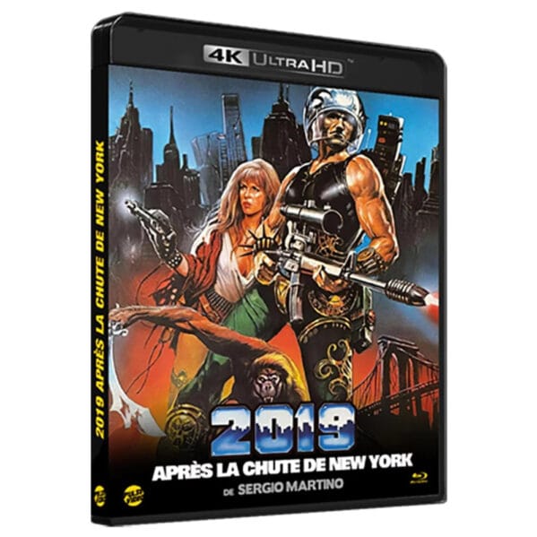 2019 après la chute de New York 4k