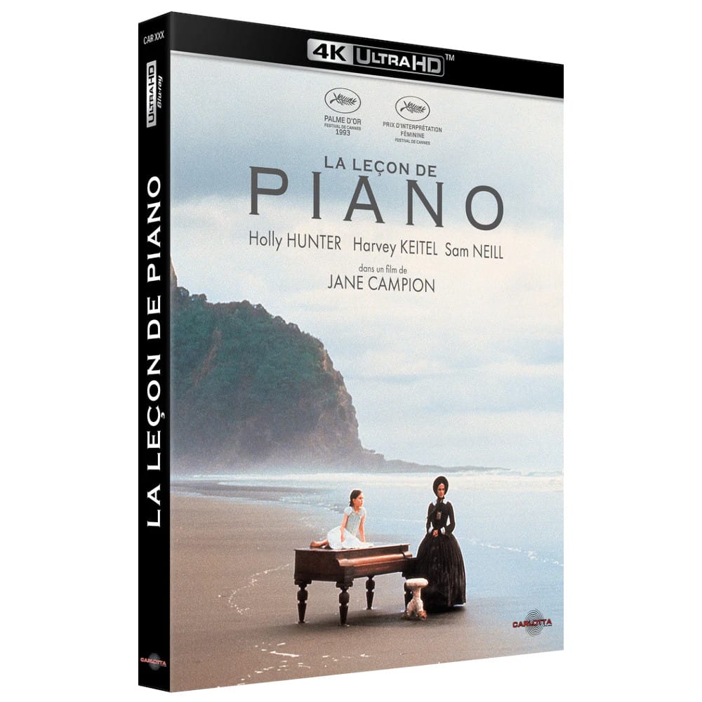 La Leçon de piano 4k