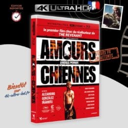 Amours chiennes 4k annonce