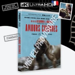 Amours chiennes 4k annonce