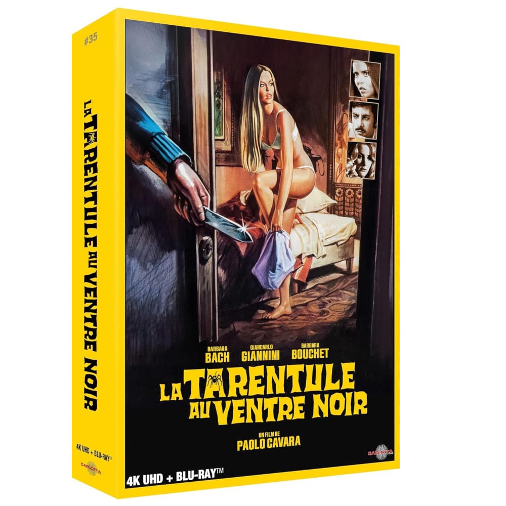 La Tarentule au ventre noir 4k Prestige