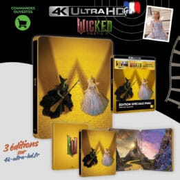 Wicked Partie 2 4k Steelbook Fnac annonce