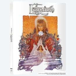 Labyrinthe 4k Steelbook